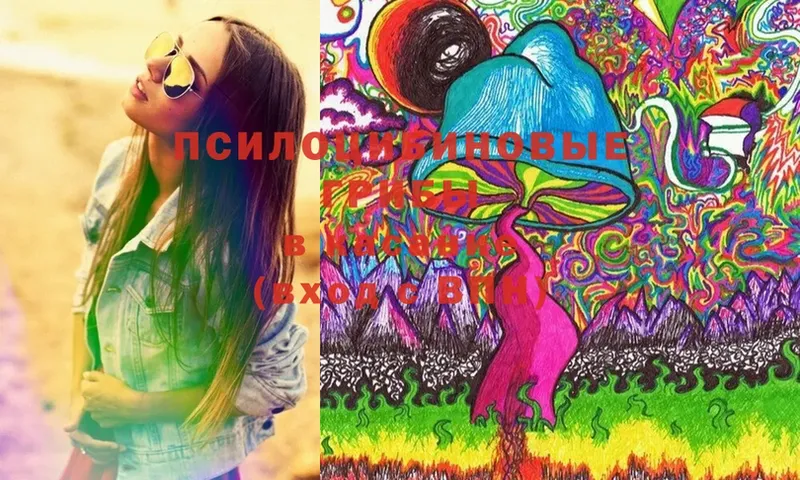 Псилоцибиновые грибы MAGIC MUSHROOMS  даркнет формула  Болгар 